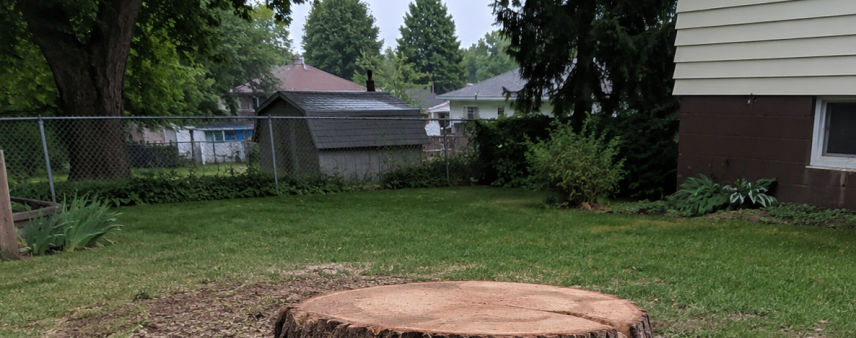 Leftover tree stump in a Nicholson, PA, backyard after tree removal