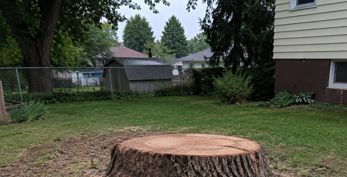 Leftover tree stump in a Nicholson, PA, backyard after tree removal